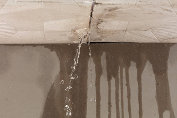 Professional Burst Pipe Cleanup technician working in Carrollton, GA